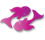 Piscis