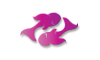 Piscis
